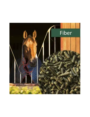 HorsePro Fiber