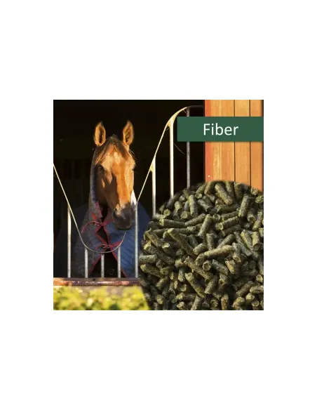 HorsePro Fiber