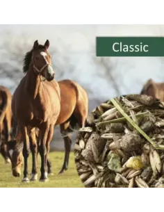 HorsePro Classic