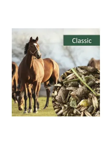 HorsePro Classic