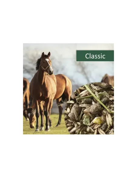 HorsePro Classic