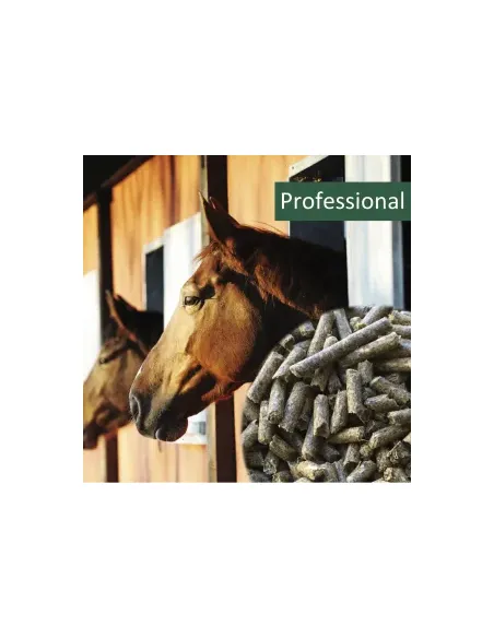 HorsePro Professional