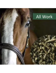 HorsePro All Work