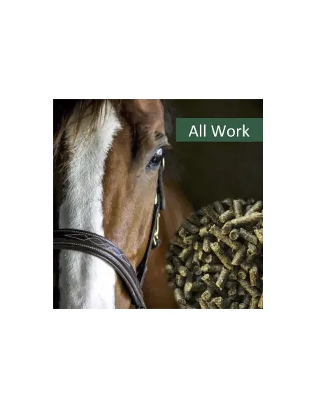 HorsePro All Work