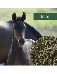 HorsePro Elite