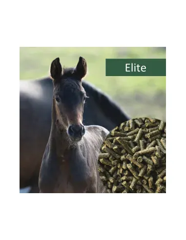 HorsePro Elite