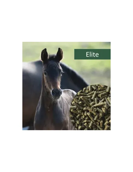 HorsePro Elite