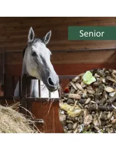 HorsePro Senior