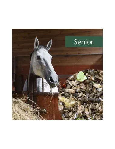 HorsePro Senior