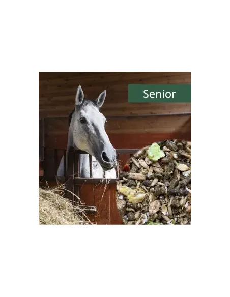 HorsePro Senior