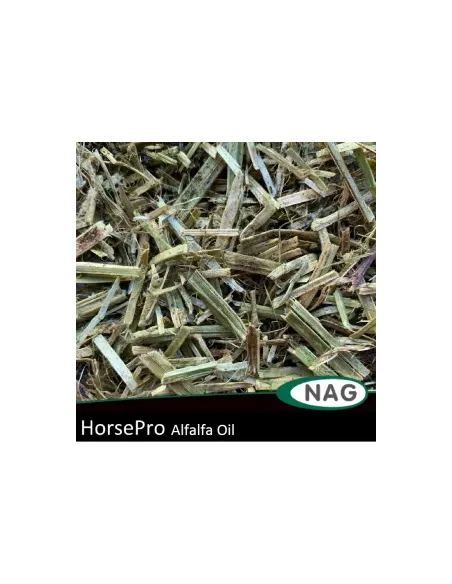 HorsePro Alfalfa Oil