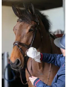 Belvoir Tack Cleaning Mitts 2