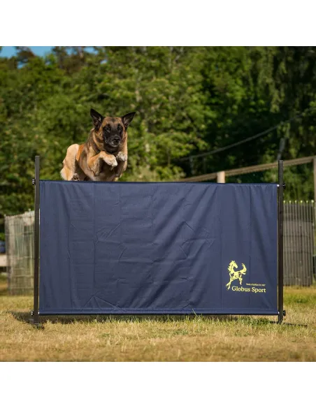 Hunde flugtspring