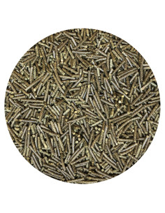 Nordic Zink 2