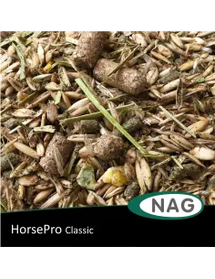 HorsePro Classic 2
