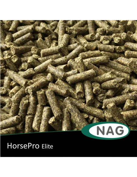 HorsePro Elite