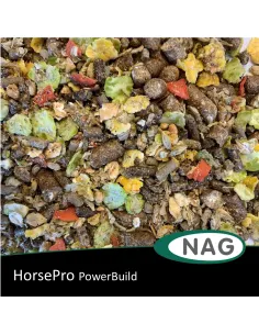 HorsePro PowerBuild 2