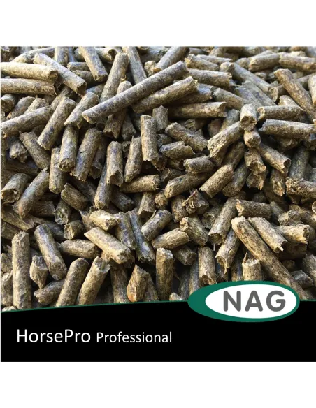 HorsePro Professional