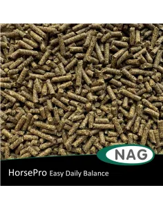 HorsePro Easy Daily Balance 2