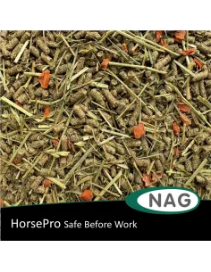 HorsePro Safe Before Work 2