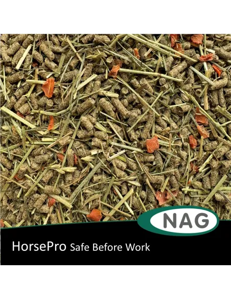 HorsePro Safe Before Work