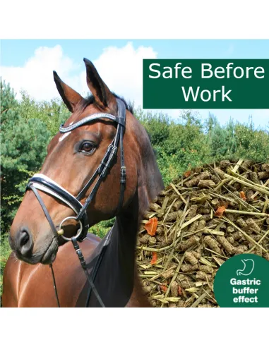 HorsePro Safe Before Work