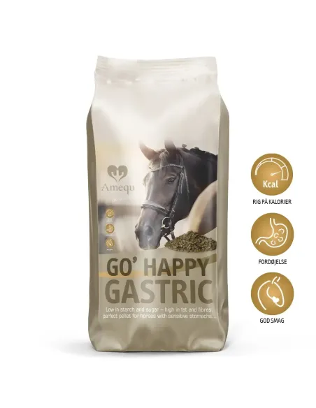 GO’ Happy Gastric