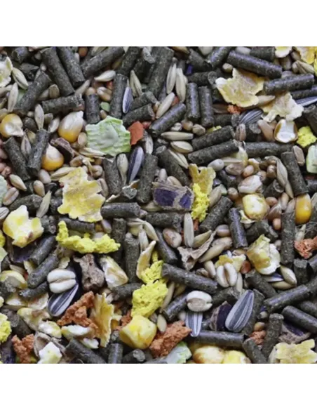 Hobby First Rabbit Mix