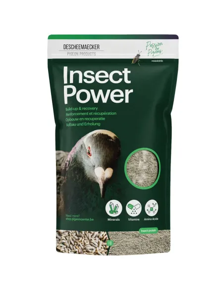 Insect Power