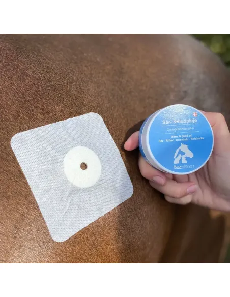 Bacxitium Aktiv Sårplaster Til Hest