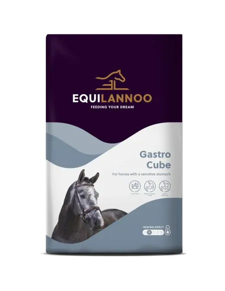 EQUILANNOO Gastro Cube