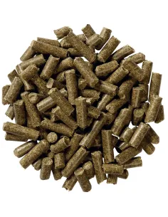 EQUILANNOO Gastro Cube 2