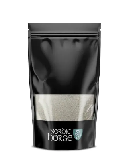 Nordic Foal First Aid