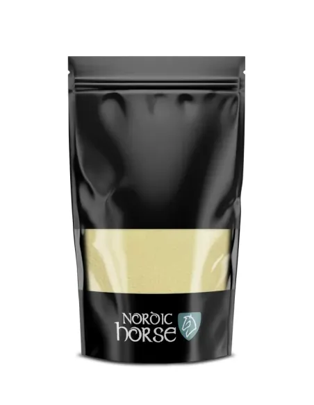 Nordic Foal First Aid