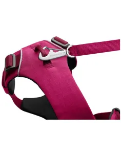 Front Range Sele Hibiscus Pink 2