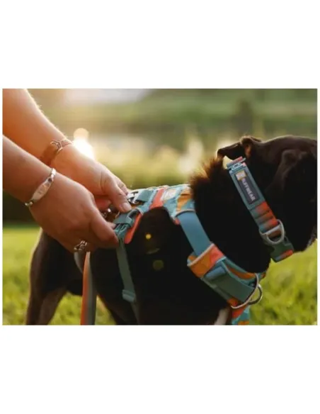 Front Range Sele - Spring Mountains