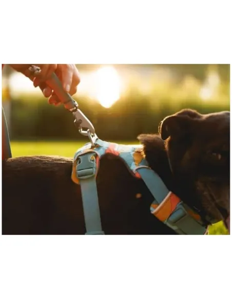 Front Range Sele - Spring Mountains