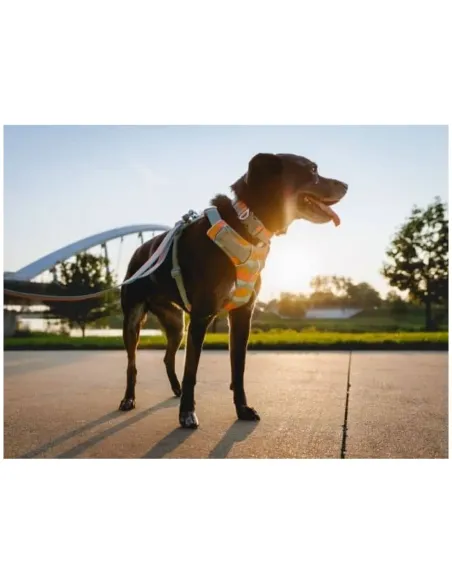 Front Range Sele - Spring Mountains