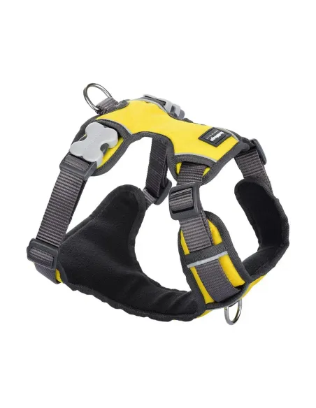 Red Dingo Gul Polstret Sele