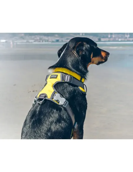 Red Dingo Gul Polstret Sele