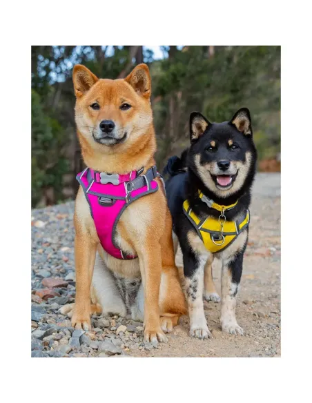 Red Dingo Gul Polstret Sele