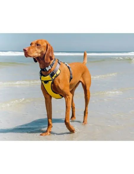 Red Dingo Gul Polstret Sele