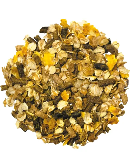 EQUILANNOO Active Mix