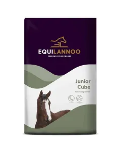 EQUILANNOO Junior Cube