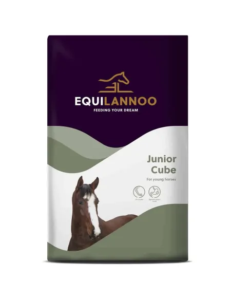 EQUILANNOO Junior Cube