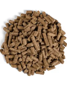 EQUILANNOO Junior Cube 2