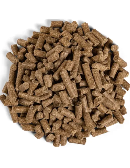 EQUILANNOO Junior Cube