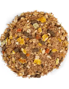 EQUILANNOO Recover Mash 2