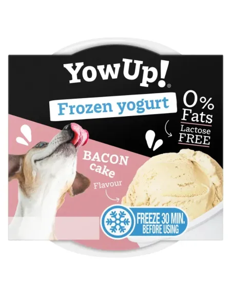 YowUp Dog Frozen Yoghurt Bacon Cake