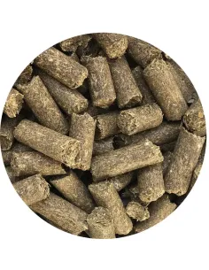 Nordic Twinkle Treats 2